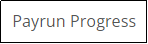 Payrun In Progress option
