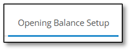 Opening Balance Setup tab.png