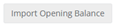 import opening balance tab.png