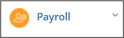 Payroll module icon