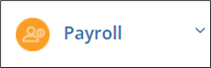 Payroll settings navigation icon