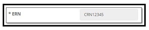 ERN.jpg