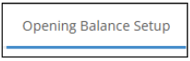 Opening balance setup 